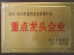 資質(zhì)榮譽(yù)